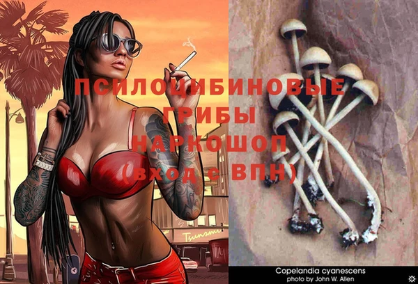 круглые Алексин