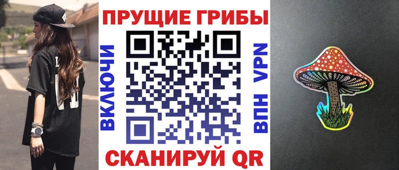 Псилоцибиновые грибы Psilocybine cubensis  Западная Двина 