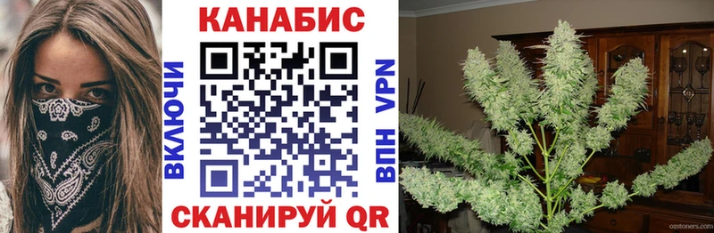 Каннабис Bruce Banner  Западная Двина 
